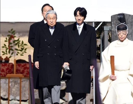 1901071.jpg