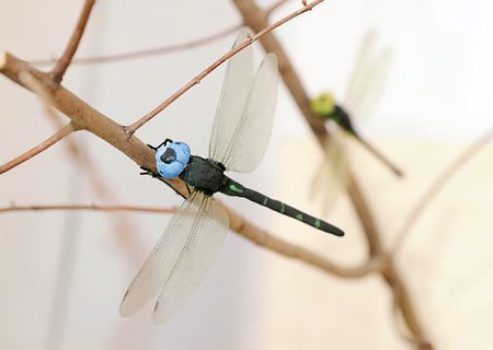 20181213at18_p.jpg