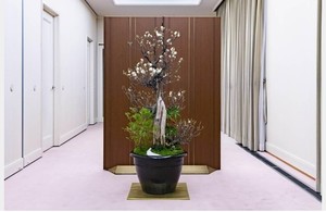 20200102harukazari.jpg